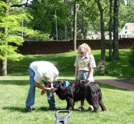 Two people stand with a dog during the Stroll for Strays
