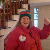 Kara Edie gets in the holiday spirit at Elston Homestead during the Holiday Tea