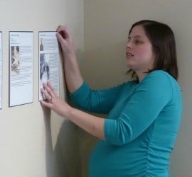 Associate Director: Collections Amanda McGuire places exhibit text