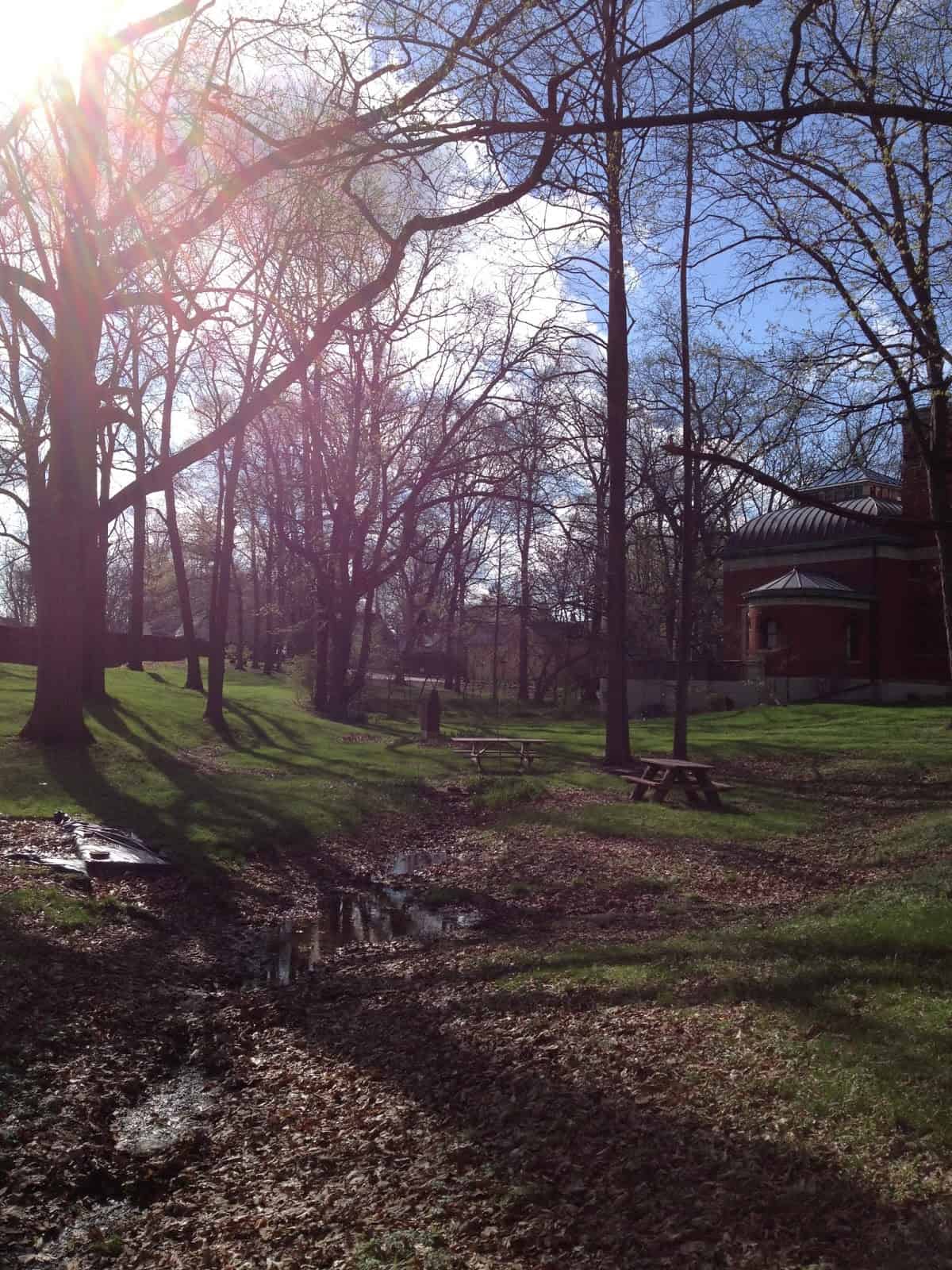 The depressed area of the Study grounds where the reflecting pool was located; it is full of rainwater.