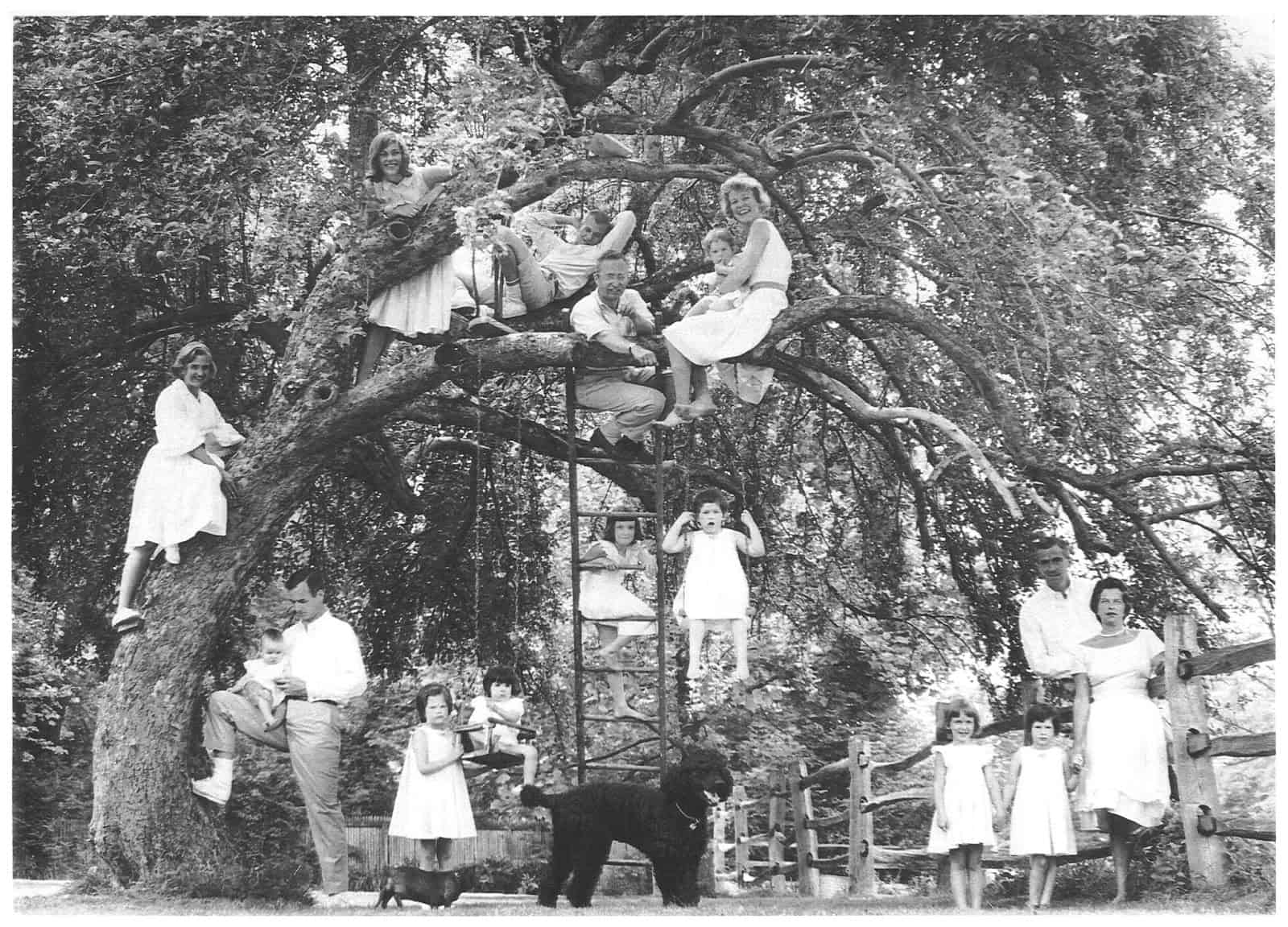Lew Wallace descendants pose in a tree