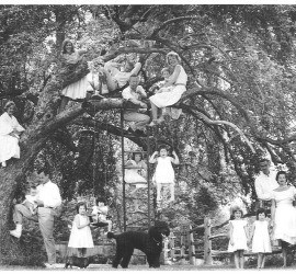 Lew Wallace descendants pose in a tree