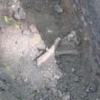 Photo from History Beneath Us archaeology