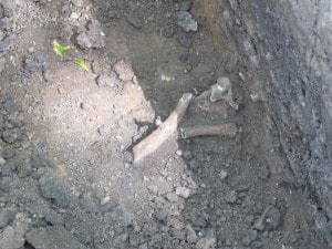 Photo from History Beneath Us archaeology