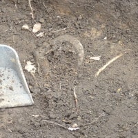 A horseshoe found during archaeology on the Study grounds.
