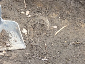 A horseshoe found during archaeology on the Study grounds.