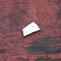 Whiteware found during archaeology on the Study grounds.