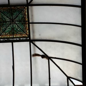 Squirrel inside the General Lew Wallace Study & Museum