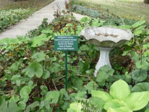 An Adopt-A-Spot garden on the Lew Wallace Study grounds