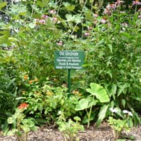 An Adopt-A-Spot garden on the Lew Wallace Study grounds