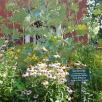 An Adopt-A-Spot garden on the Lew Wallace Study grounds