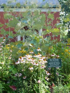 An Adopt-A-Spot garden on the Lew Wallace Study grounds