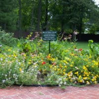 An Adopt-A-Spot garden on the Lew Wallace Study grounds