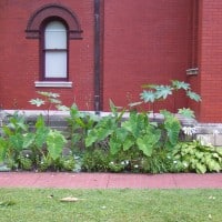 Gardens at the Lew Wallace Study