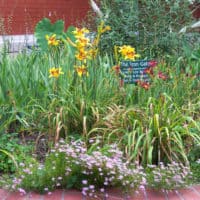 An Adopt-A-Spot garden on the Lew Wallace Study grounds