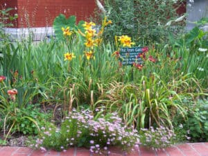 An Adopt-A-Spot garden on the Lew Wallace Study grounds