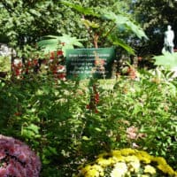 An Adopt-A-Spot garden on the Lew Wallace Study grounds