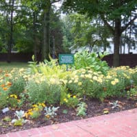 An Adopt-A-Spot garden on the Lew Wallace Study grounds