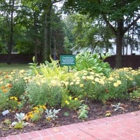 Gardens at the Lew Wallace Study