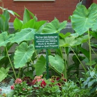 Adopt-A-Spot sign