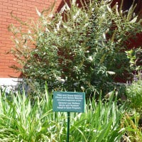 Adopt-A-Spot sign