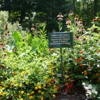 Adopt-A-Spot sign