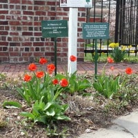 Adopt-A-Spot signs by the gate