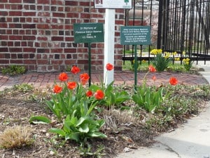 Adopt-A-Spot signs by the gate