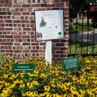 Gardens at the Lew Wallace Study