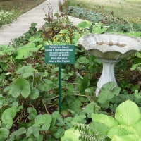 Gardens at the Lew Wallace Study