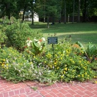 Gardens at the Lew Wallace Study