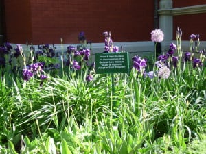 Gardens at the Lew Wallace Study