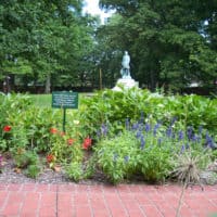 Tee's Garden is full of flowers with the statue of Lew Wallace in the background