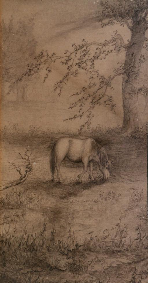Old Pony, a sketch by Lew Wallace