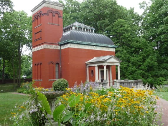 Tee garden 2