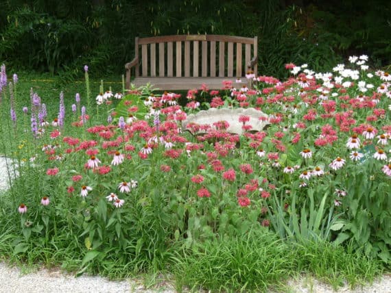 bee balm moat garden